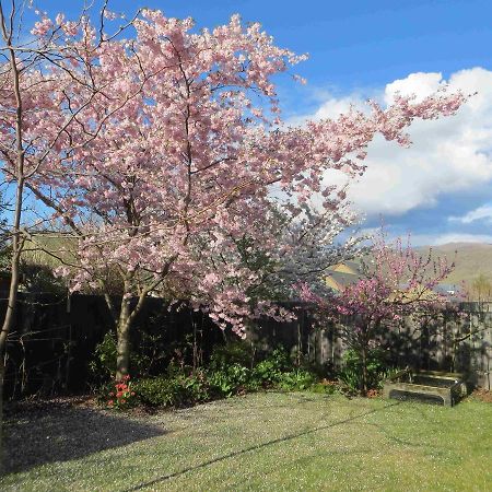 Silverlights B & B Cromwell Dış mekan fotoğraf