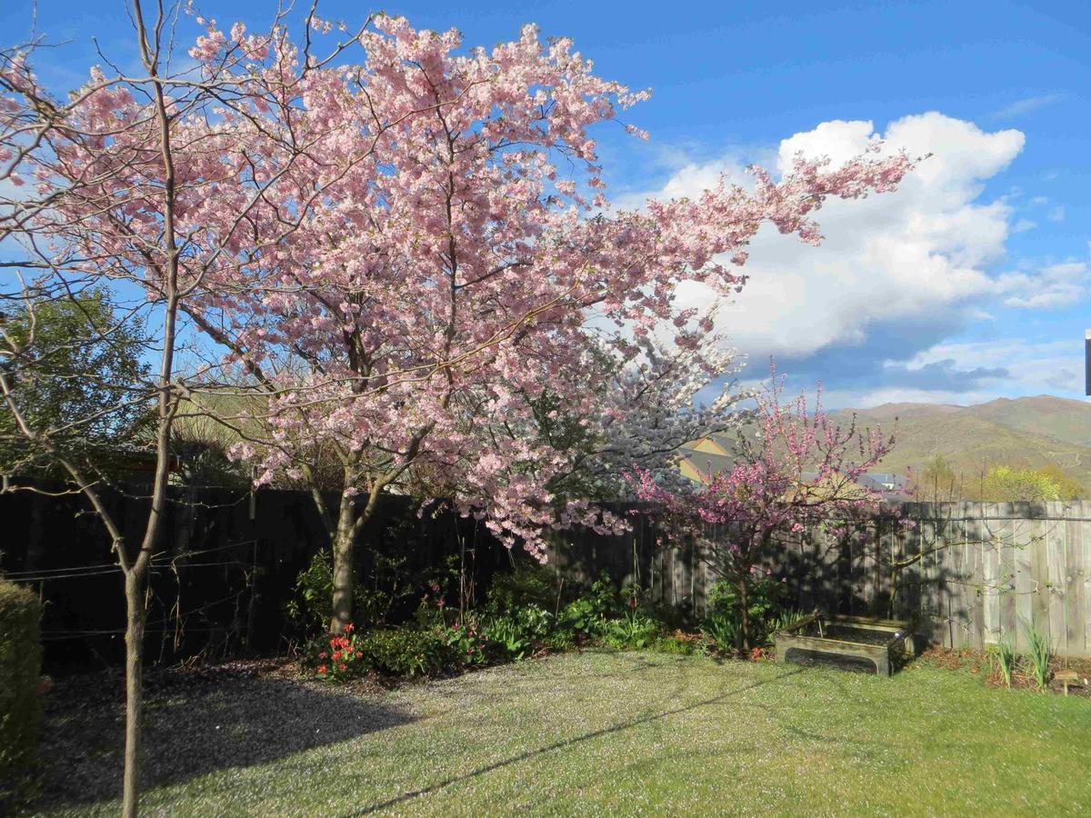 Silverlights B & B Cromwell Dış mekan fotoğraf